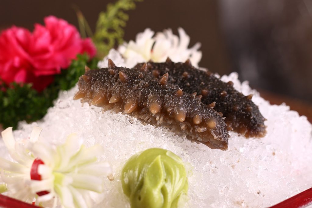 raw sea cucumber put on ice