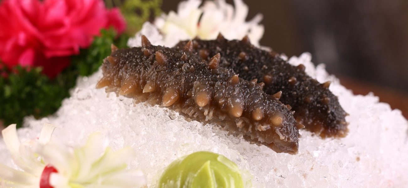 raw sea cucumber put on ice